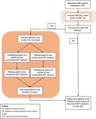 Rivastigmine for ECT-induced cognitive adverse effects in late life depression (RECALL study): A multicenter, randomized, double blind, placebo-controlled, cross-over trial in patients with depression aged 55 years or older: Rationale, objectives and methods